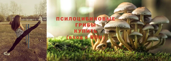 Альфа ПВП Володарск
